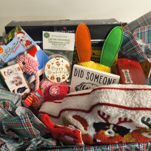 Holiday fun for your furry one!